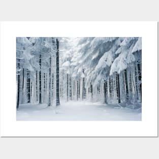 Winter Forest Serene Landscape Surreal Posters and Art